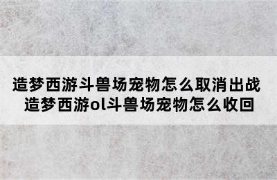 造梦西游斗兽场宠物怎么取消出战 造梦西游ol斗兽场宠物怎么收回